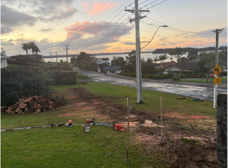 Site Clearing Hamilton