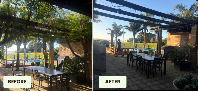 Tree Clearing Hamilton